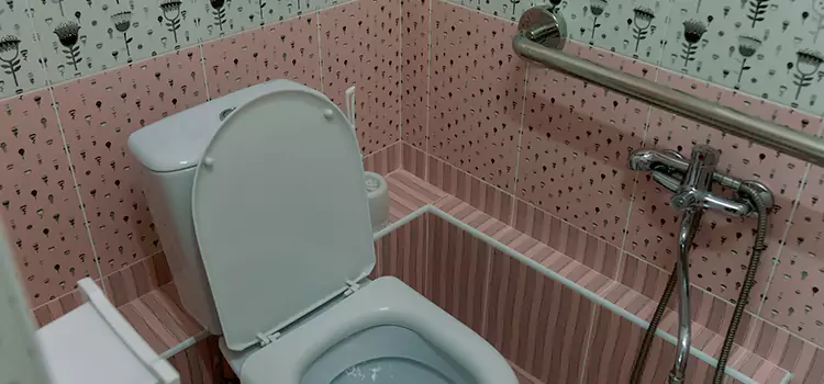 Meeting Diverse Needs With Accessible Restroom Solutions in Deltona, FL